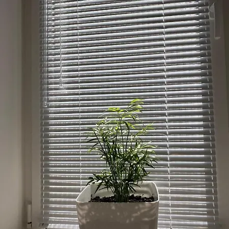 Apartamento Bejler